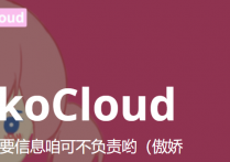 Akkocloud，英国CN2 GIA/512M/10G SSD/500G月流量/300Mbps/季付99元