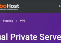 Turbohost，荷兰/2G内存/1核/20G SSD/1Gbps/不限流量/月付5欧元