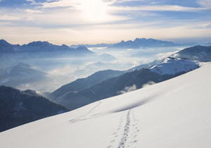 每日分享免费节点、免费机场、付费机场、电报代理、ssr节点、v2ray节点、v2ray订阅、clash节点、clash订阅
