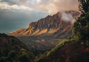 免费一个vless节点还不错坚持了一星期多了还可用